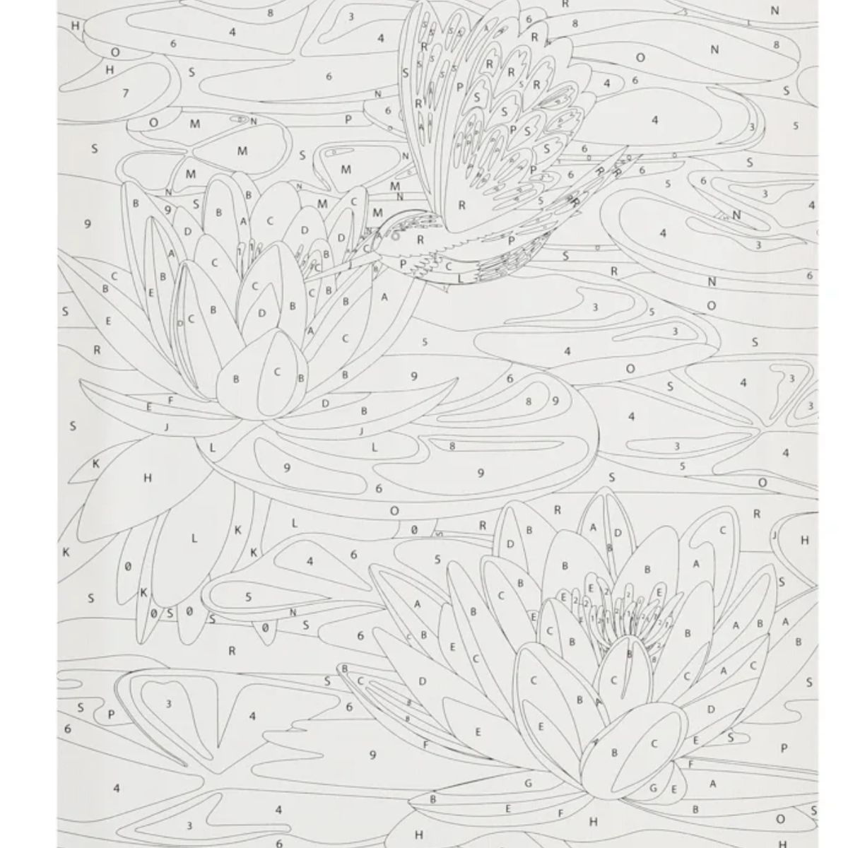 UNIVERSAL - Set Bastidor Lienzos 50x40cm Con Diseño Pintura Y Pincel