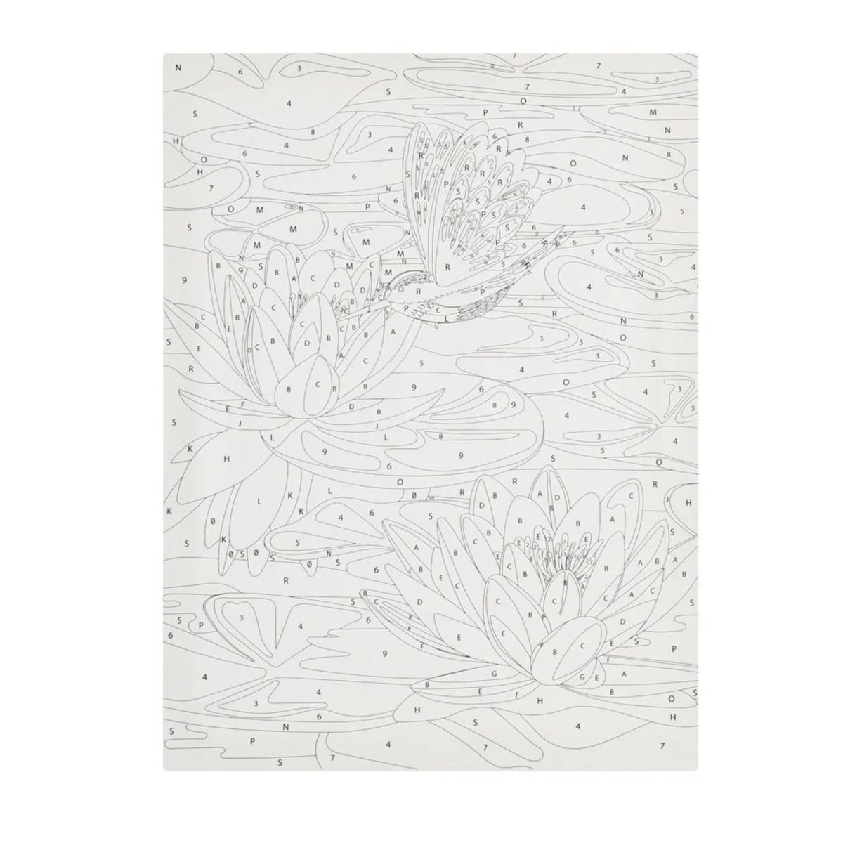 UNIVERSAL - Set Bastidor Lienzos 50x40cm Con Diseño Pintura Y Pincel