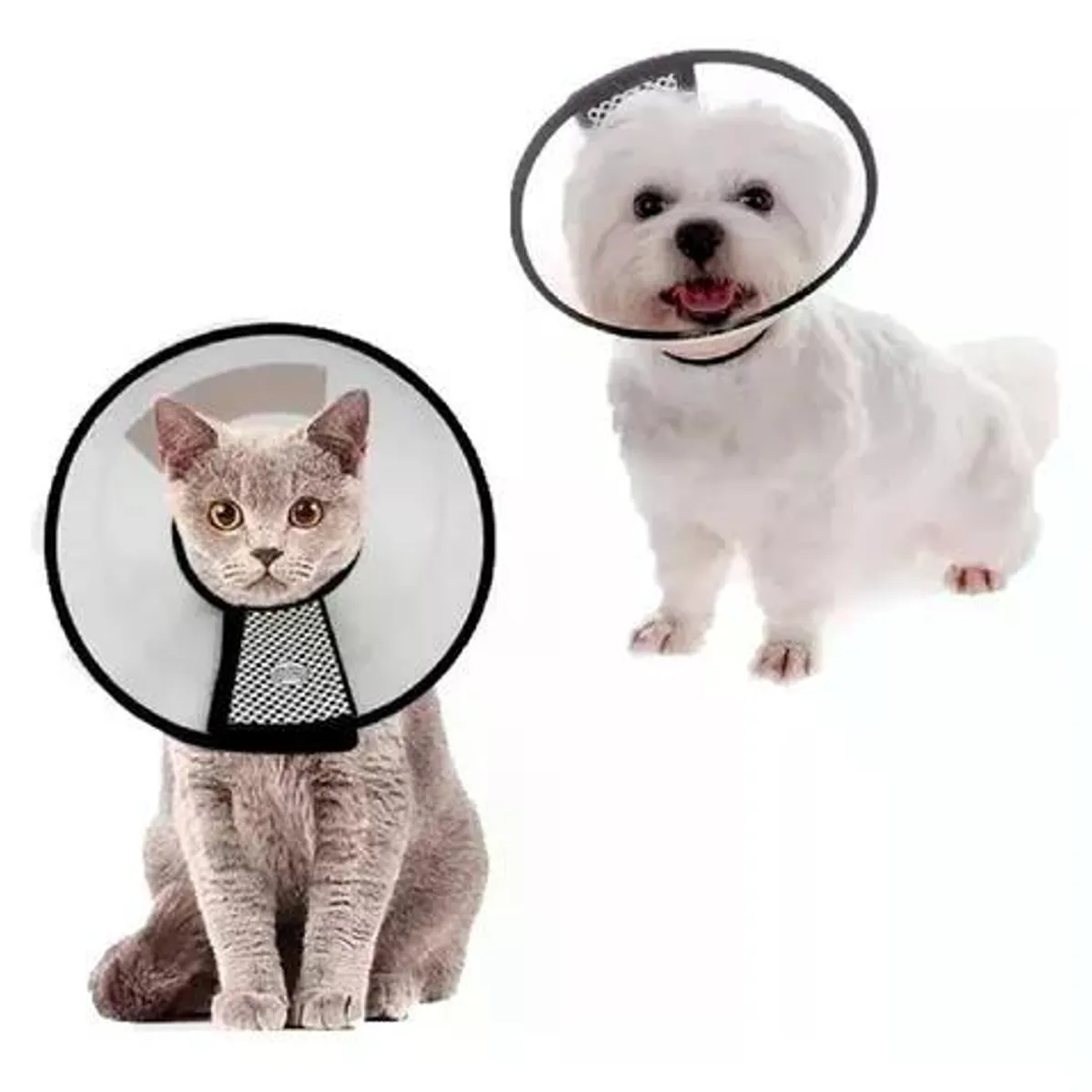 HAMELIN - Collar Isabelino Mascota Perro Y Gato 46cm