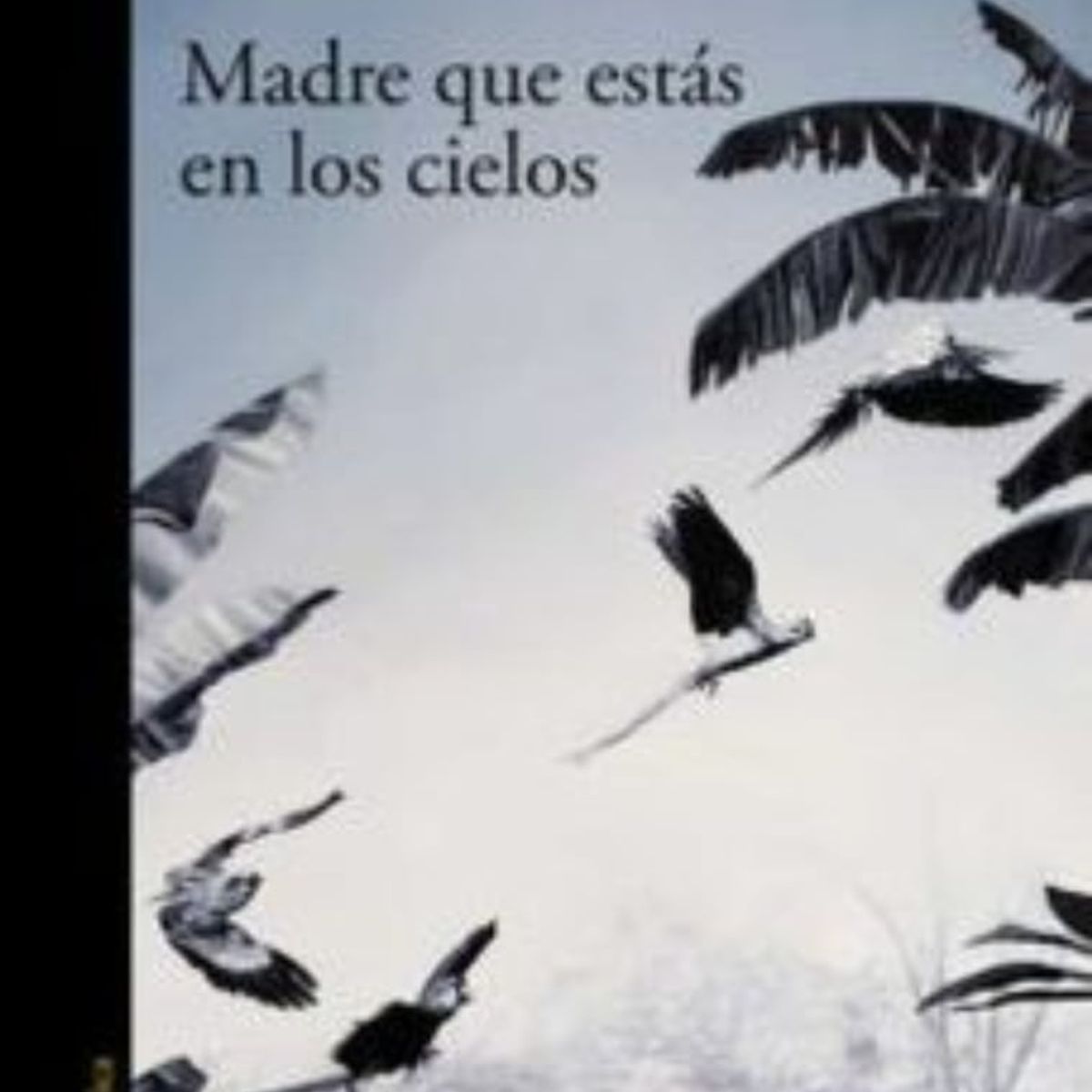 TOP10BOOKS - LIBRO Madre Que Estas En Los Cielos - Madre Que Estas En Los Cielos