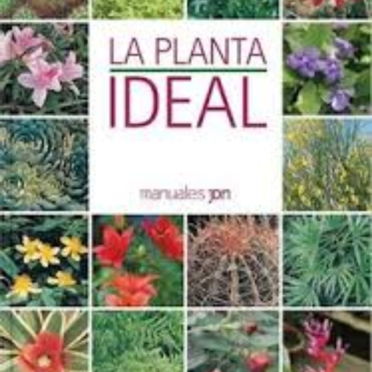 TOP10BOOKS - LIBRO La Planta Ideal - La Planta Ideal
