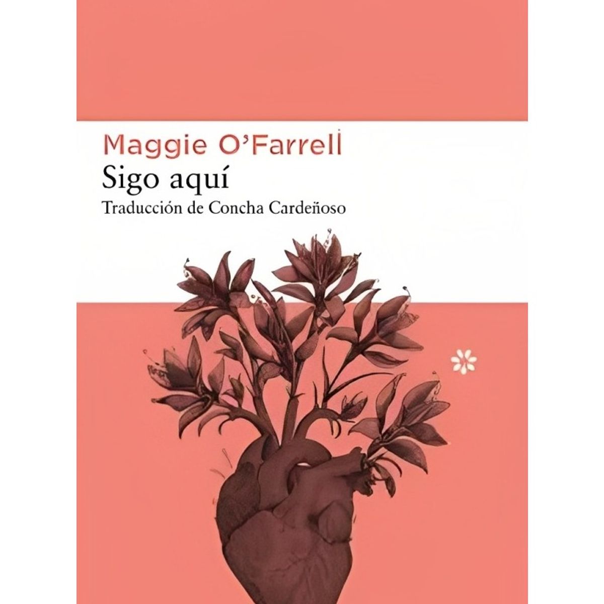 TOP10BOOKS - LIBRO Sigo Aquí - Sigo Aquí