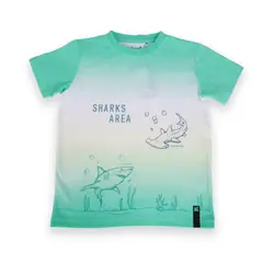 PILLIN - Polera Niño Verde - Verde