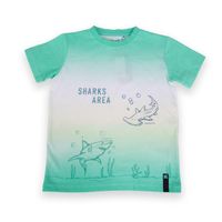 Polera Niño Verde - Verde