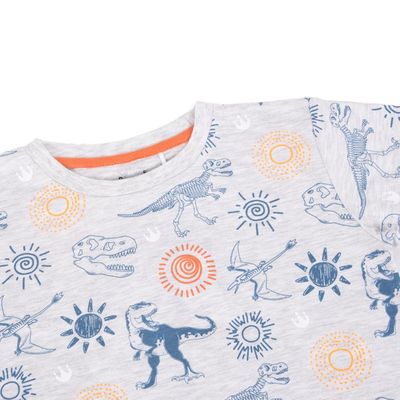 Imagen 2 del producto Polera Niño Gris claro