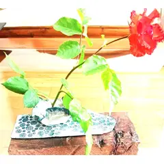 GOIC DISEÑOS - Base para flor tipo ikebana diseño exclusivo hecho a mano