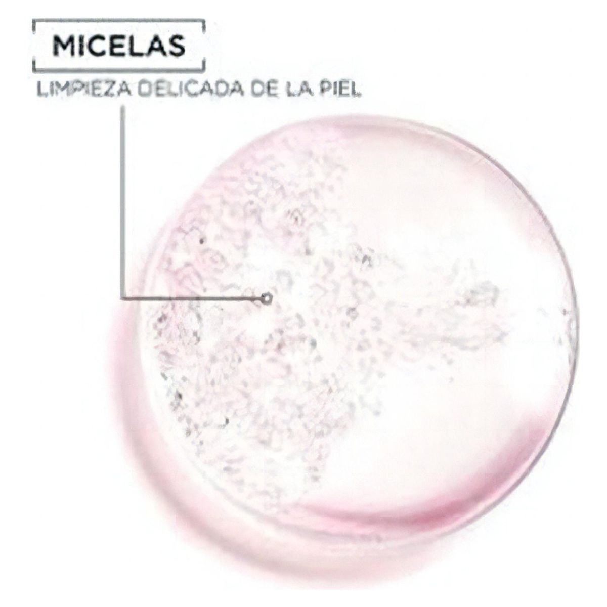 GARNIER - Agua Micelar Todo En 1 Garnier Skin Active X 400 Ml