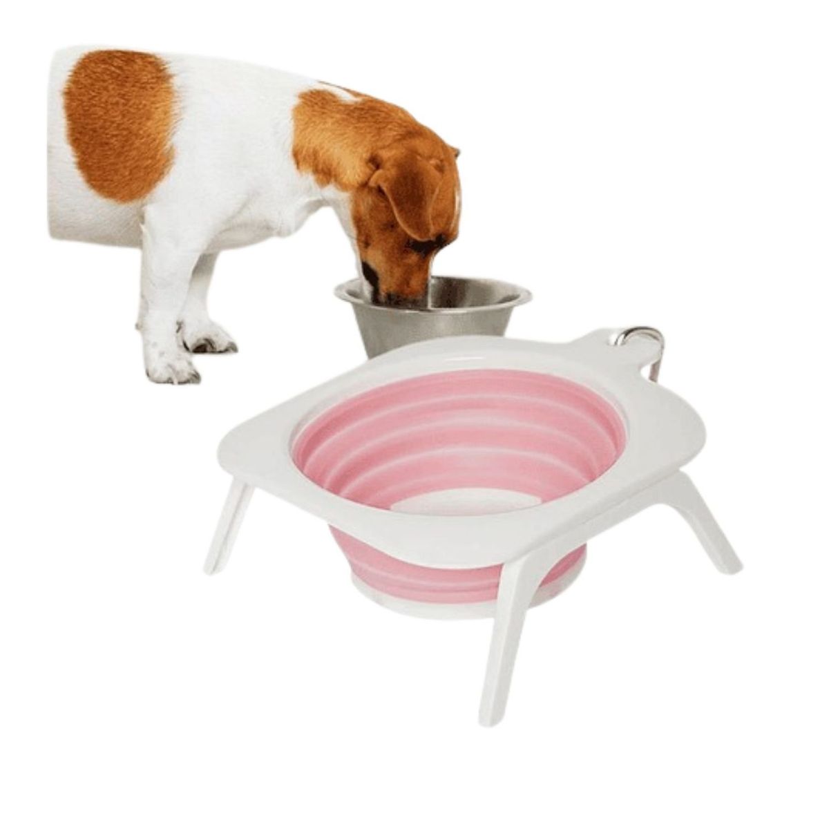 GENERICO - Plato Bowl Cuenco Portable plegable Perro Mascotas