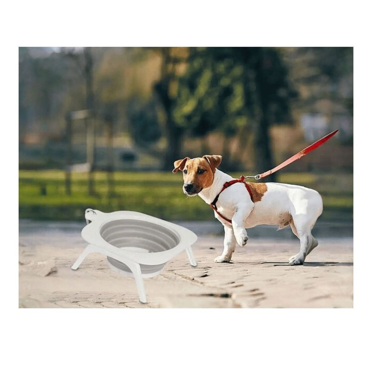 GENERICO - Plato Bowl Cuenco Portable plegable Perro Mascotas