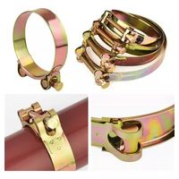 Abrazadera Alta Presion Manguera Plana 2 Pulgadas X 10 Un