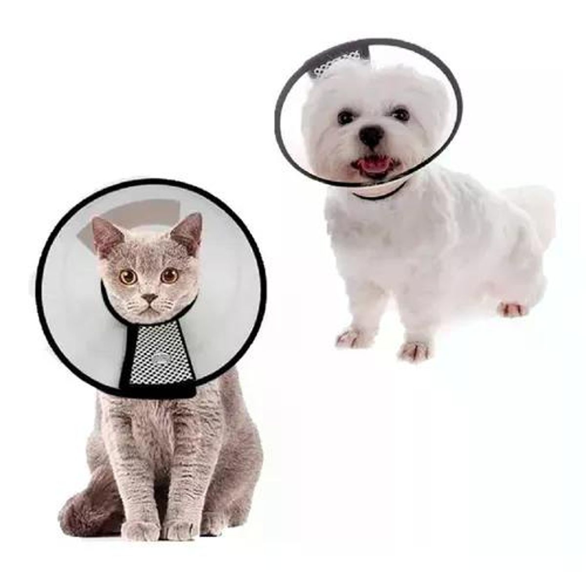 HAMELIN - Collar Isabelino Mascota Perro Y Gato 46cm