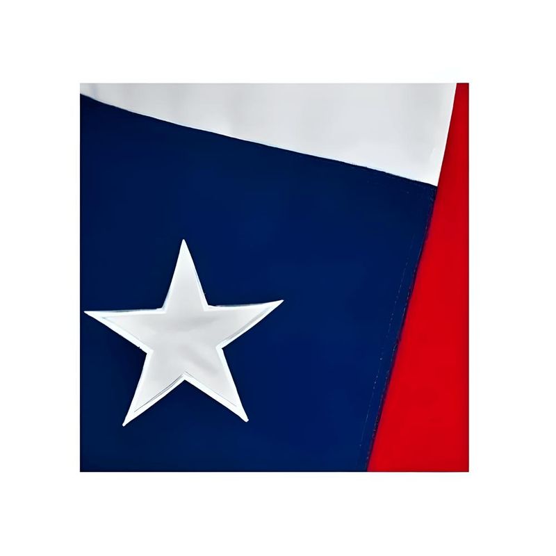 GENERICO - Bandera Chilena 89x136 Cm Con Estrella Bordada