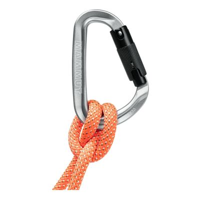 Imagen 2 del producto Mosquetón Classic Hms Twistlock Gris