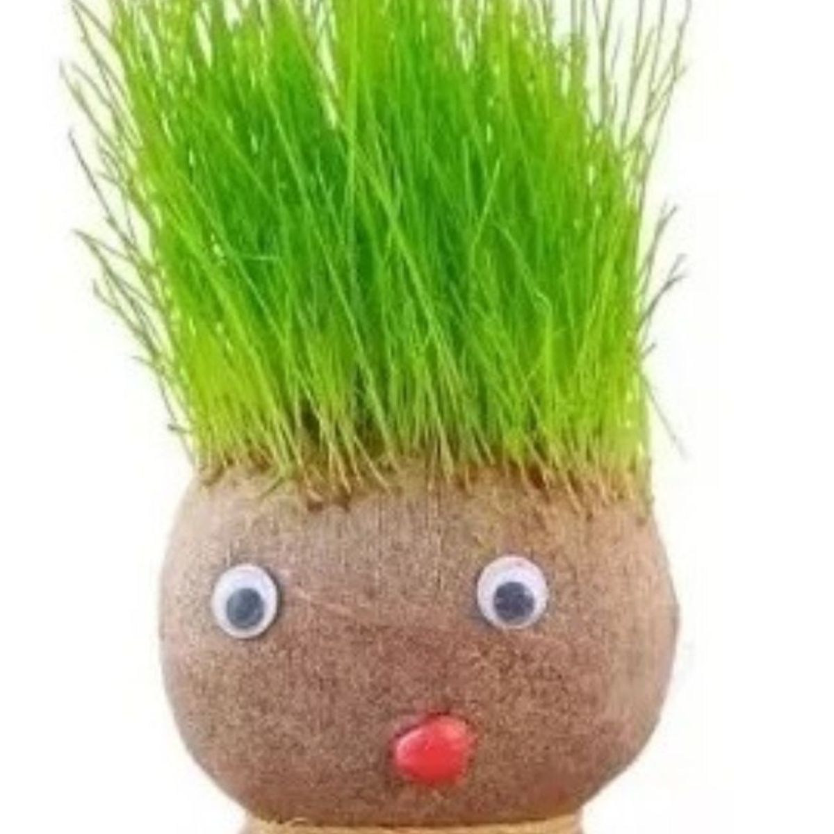 GENERICO - 2 Piezas De Cabeza De Muñeca De Hierba por Regar Y Brotar