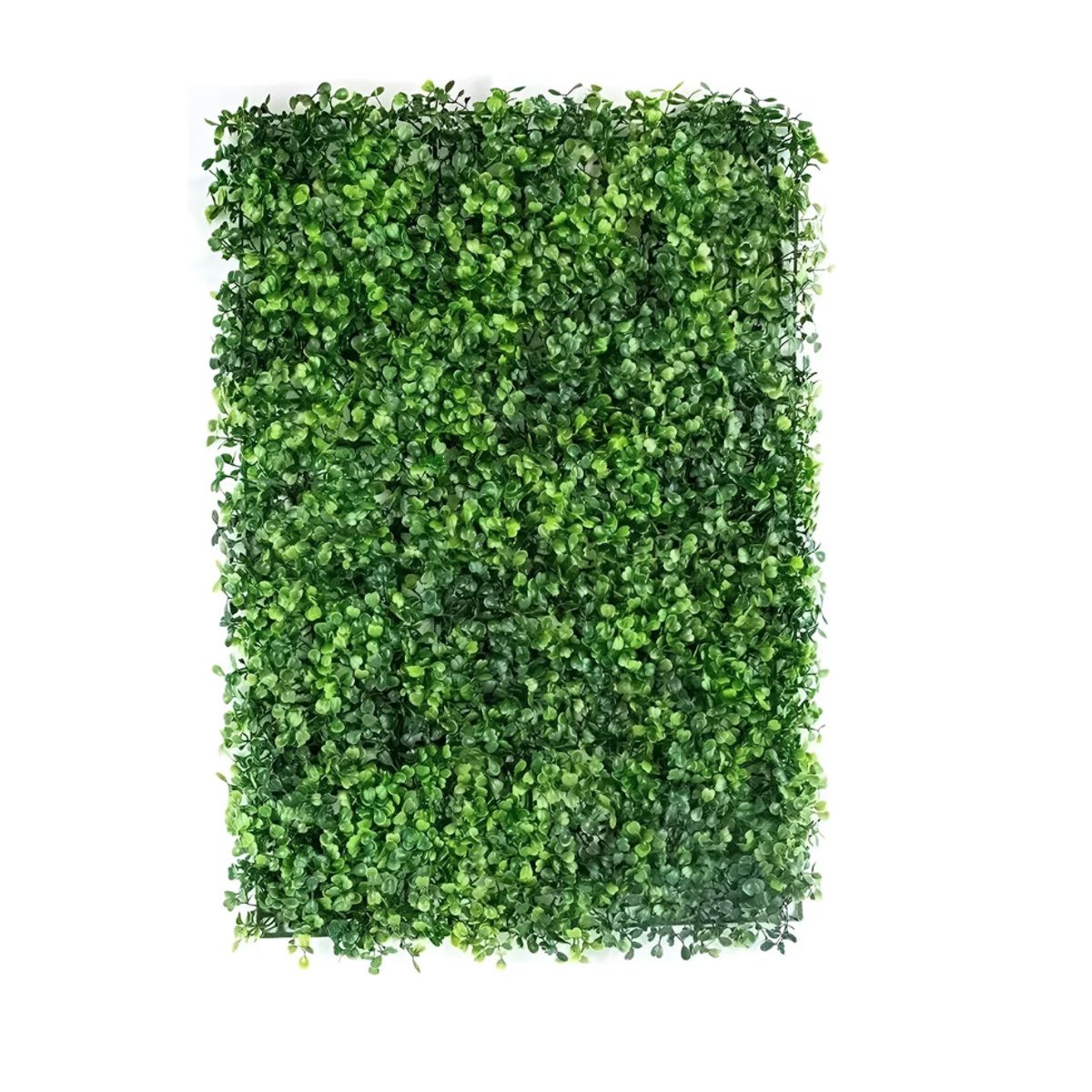 GENERICO - 5 Piezas Muro Verde Follaje Artificial Sintético 60x40 Cms