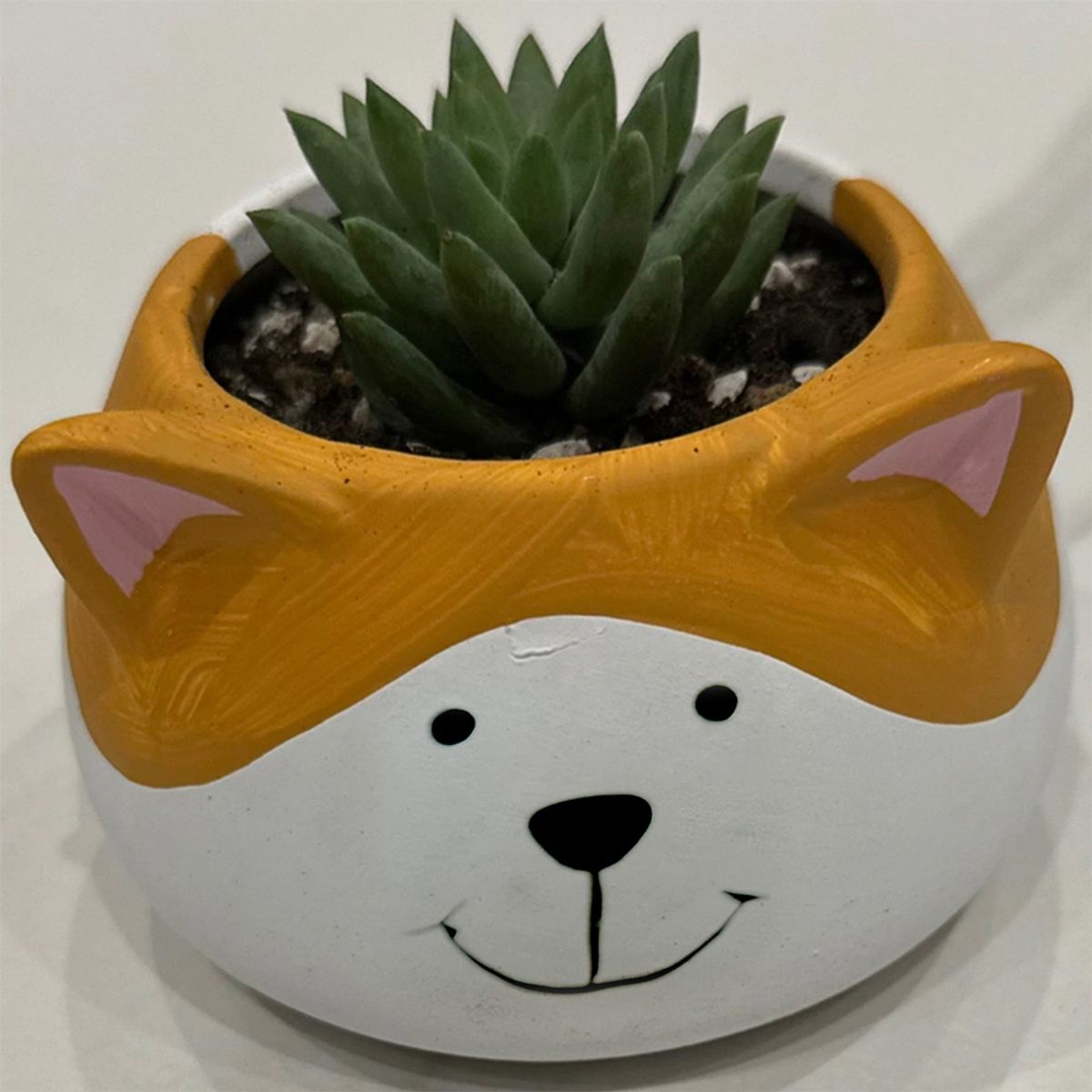 GENERICO - Maceteros Suculentas Animal Forma Perro