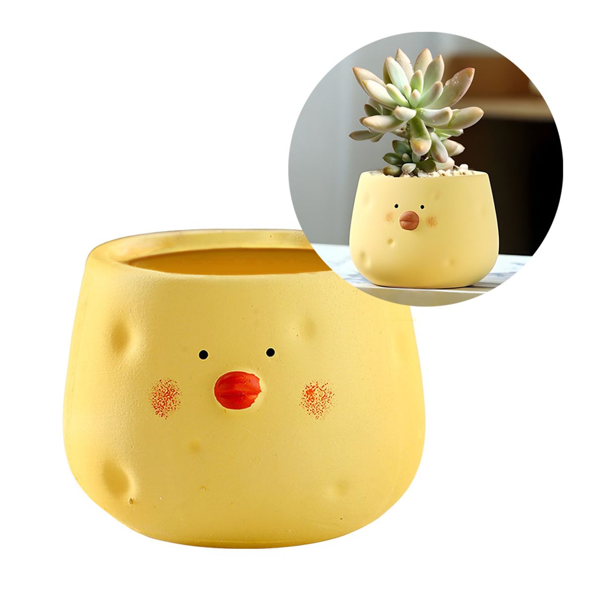GENERICO - Maceteros Suculentas Animal Forma Pollito