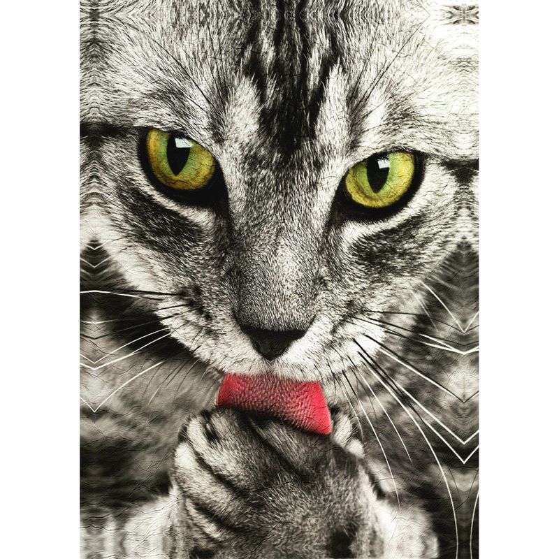 ID1SG IMPRESION DIGITAL1 - Cuadro decorativo Animales Domestico "FELINO" 70 x 50