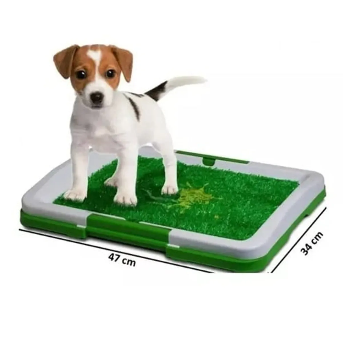 GENERICO - Baño Sanitario Perro Ecológico Perros Baño Puppy Potty Pad