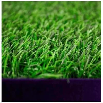 Imagen 2 del producto Baño Sanitario Perro XL Ecológico Perros Baño 68cm x 43Cm