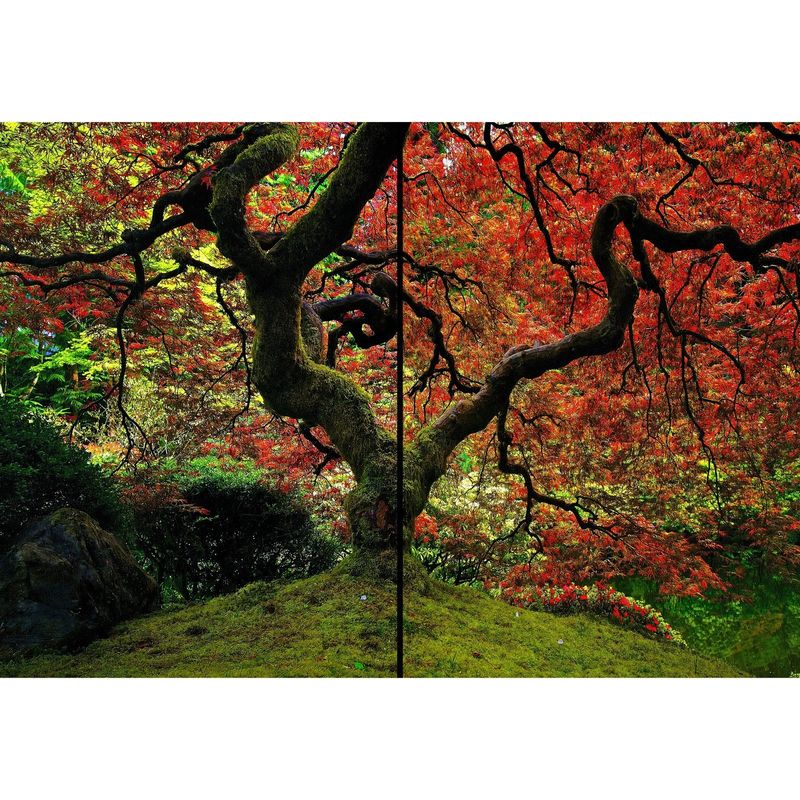 ID1SG IMPRESION DIGITAL1 - Cuadro decorativo  Díptico Paisaje " ÄRBOL ROJO " 70 x 100