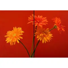 ID1SG IMPRESION DIGITAL1 - Cuadro decorativo Díptico Flores "4 GERBERAS" 70 x 100