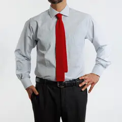 VANDINE - Camisa Etiqueta Roja con Líneas azules I24-13 - Azul