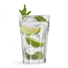 ROYAL LEERDAM - MOJITO 44CL SET/4 COCKTAILS