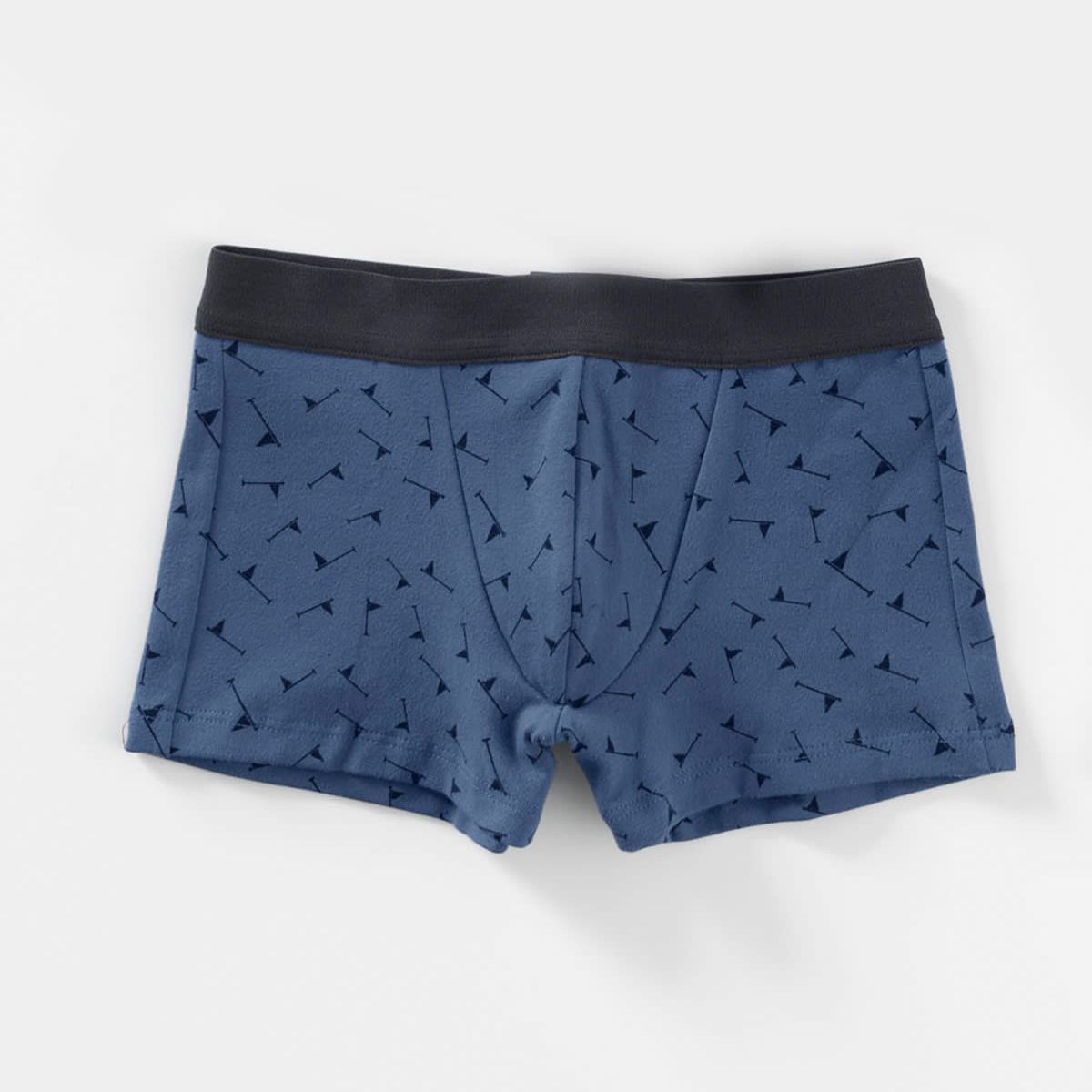 LEO - Paquete X 2 Bóxers Leo en Algodón Para Niños 33155X2 Azul Estampado / Azul Claro