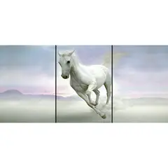 ID1SG IMPRESION DIGITAL1 - Cuadro decorativo Paisaje Tríptico "AMANECER GALOPANTE" 70 x 150