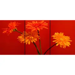 ID1SG IMPRESION DIGITAL1 - Cuadro decorativo Flores Tríptico "4 GERBERAS" 70 x 150