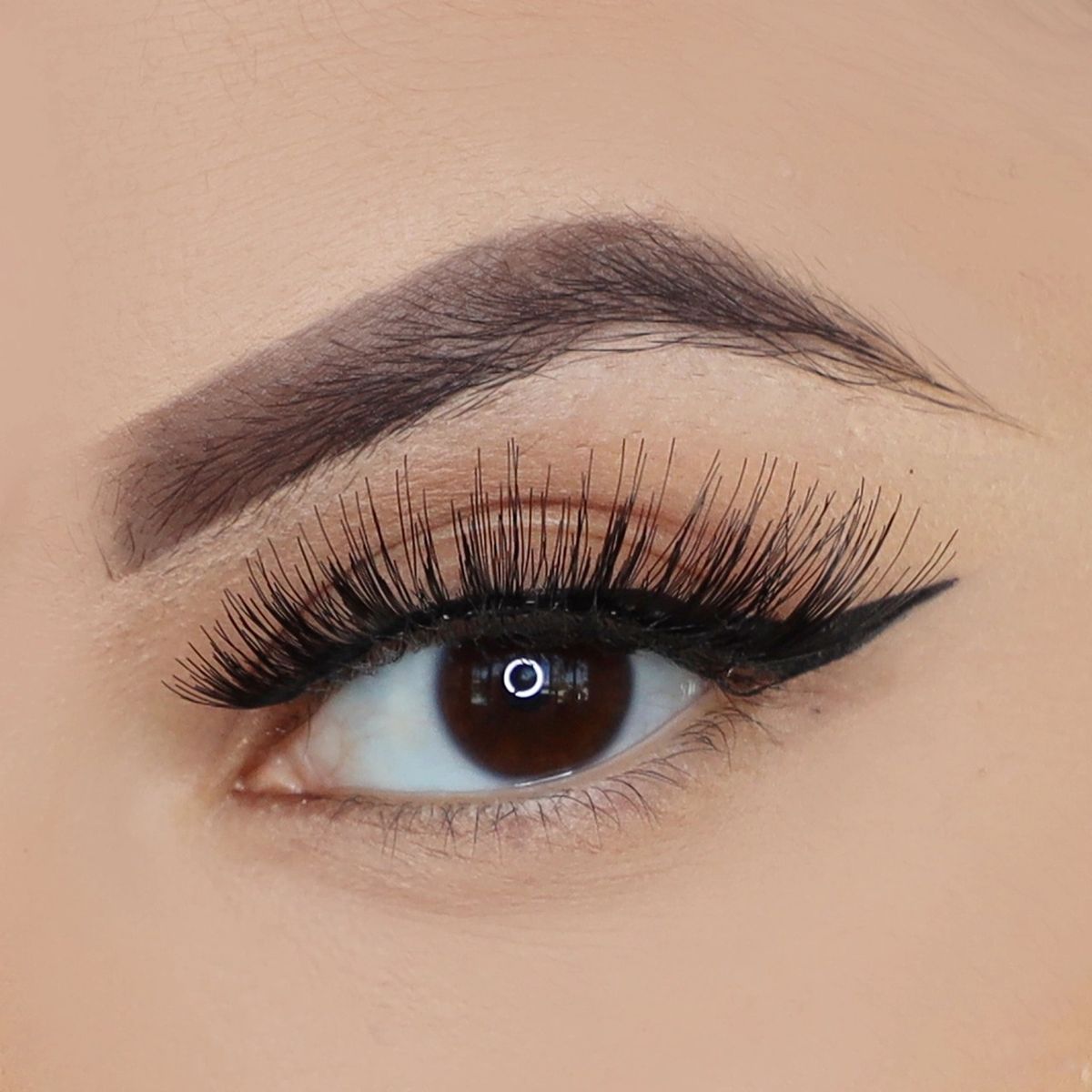 GENERICO - J LASH SET DE PESTAÑAS ANIMAL COLLECTION TEDDY