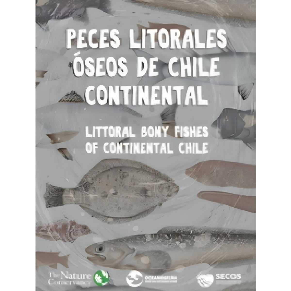 TOP10BOOKS - LIBRO Peces Litorales Óseos De Chile Continental
