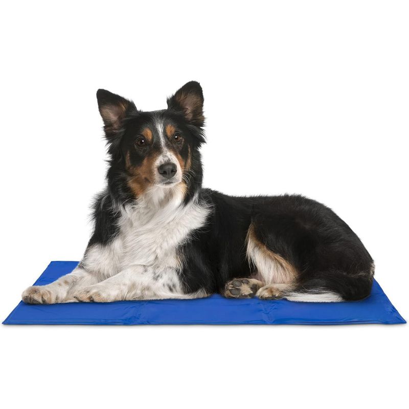 GENERICO - Manta Gel Frío Fría Para Mascotas L50x90 Cm Perro Gato