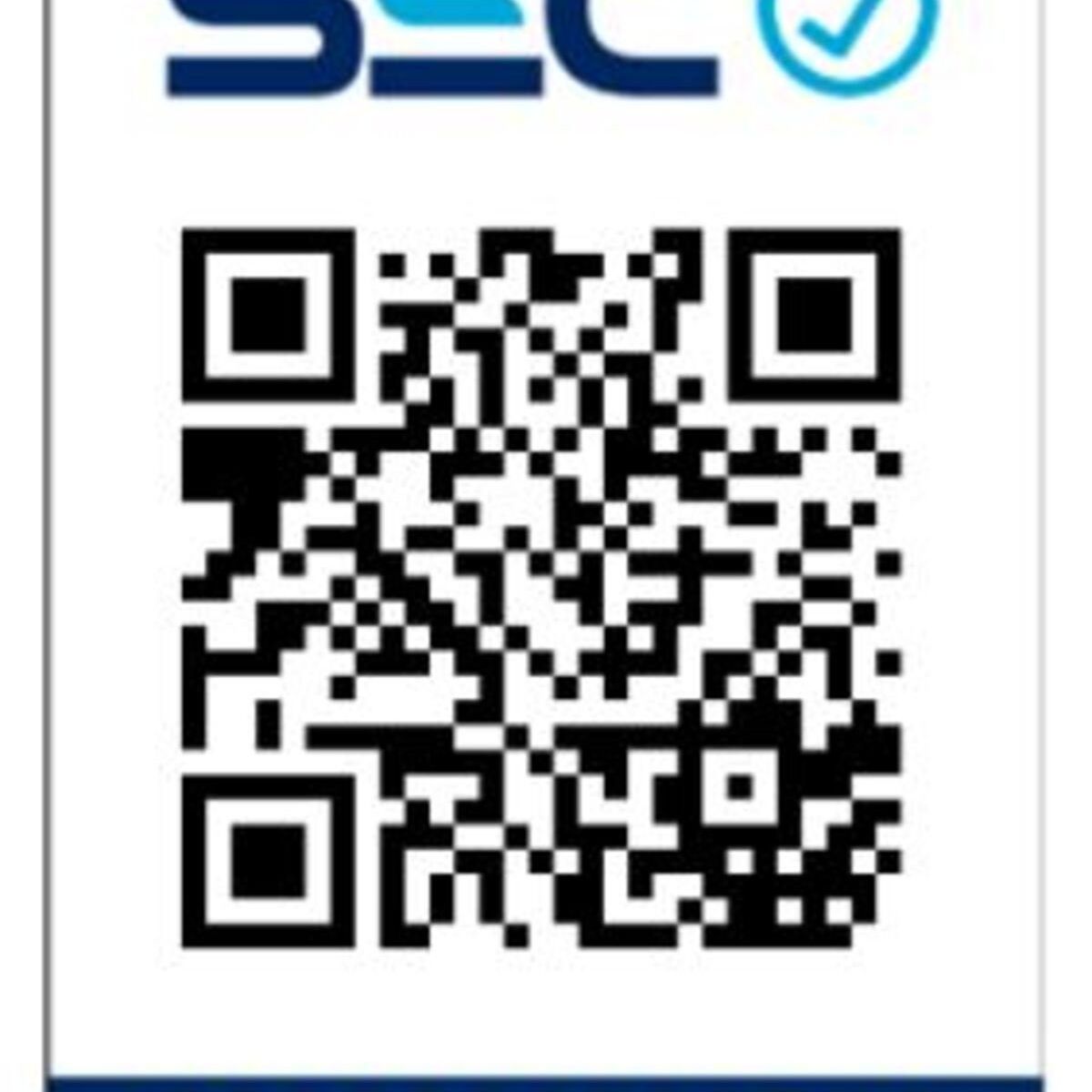 CUISINART - Batidora Gris Cuisinart SM50 GR