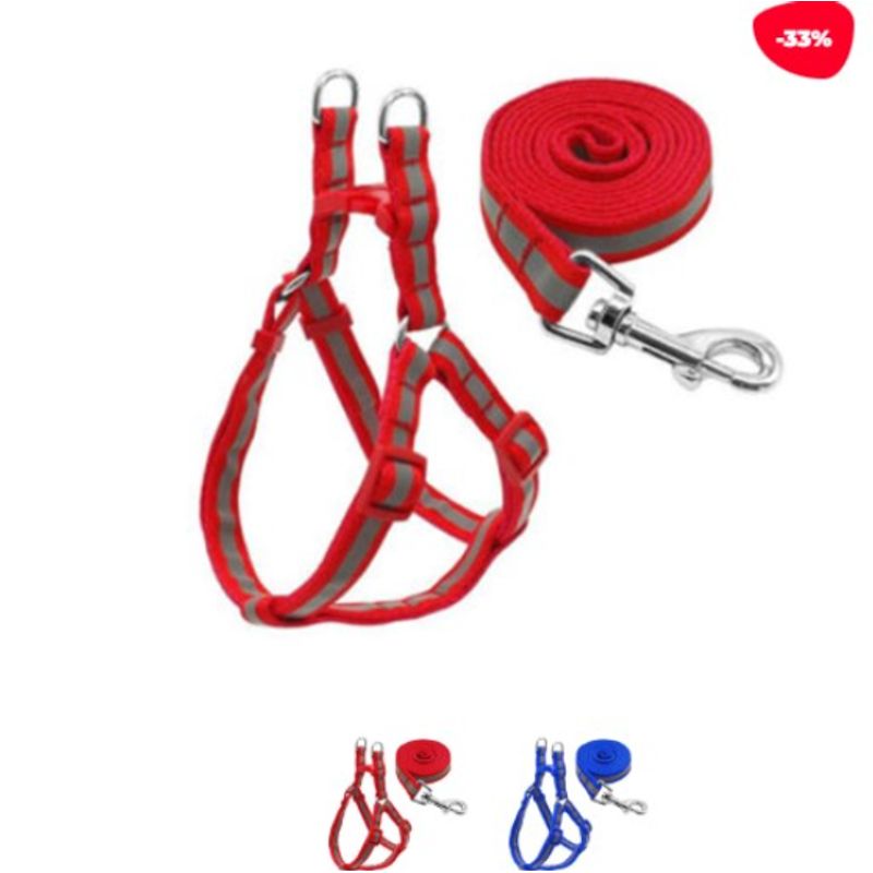 GENERICO - CORREA PARA MASCOTA COLOR LISO 2CM X 1.2 MT