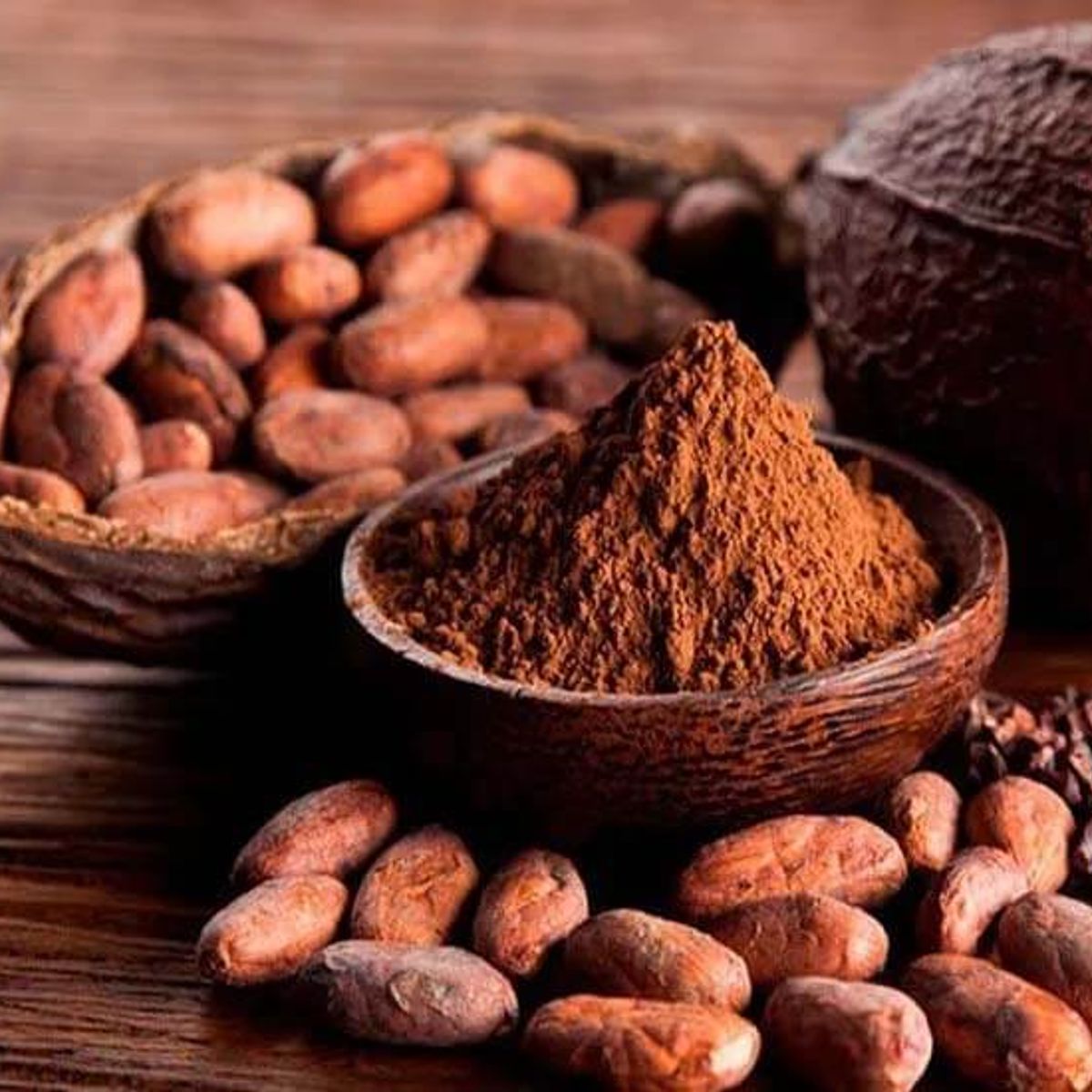 ANGELONI ORGANICS - Cacao Ecuatoriano Premium 150gr