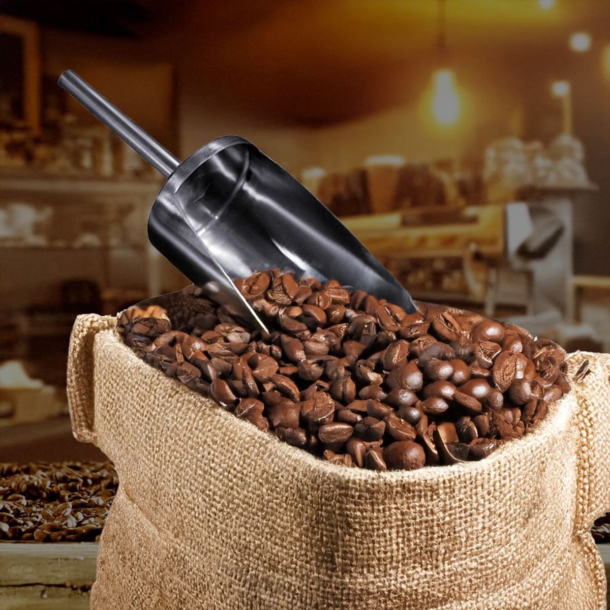 DULOX - Poruña de 1500 Gramos Acero Inoxidable