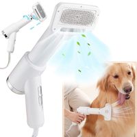 Cepillo Secador De Pelo Portátil Para Mascotas 2 En 1