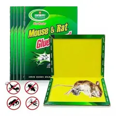 KUANGYE - Pack 30 Laminas Trampa Atrapa Rata Ratón Pegamento