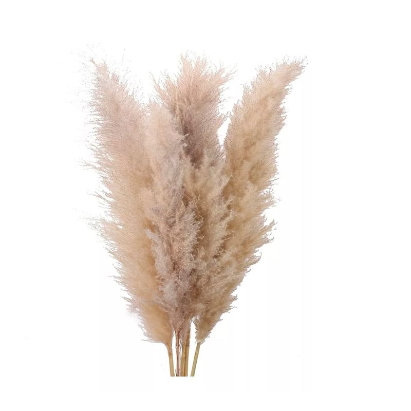 GENERICO - 5 Piezas Rama De Pampas Grass