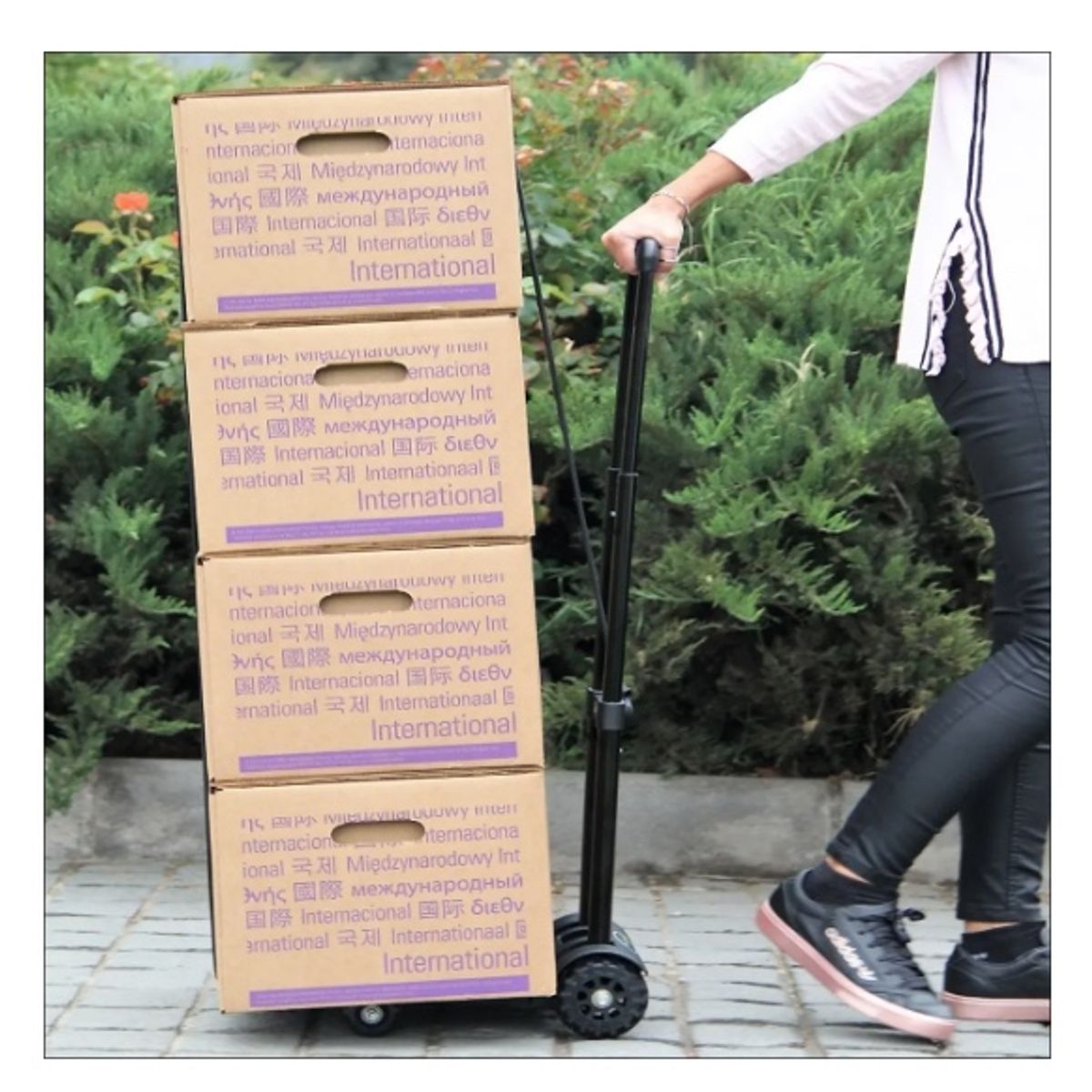 GENERICO - Carro Plegable De Carga Tipo Plataforma 65 Kilos Yegua