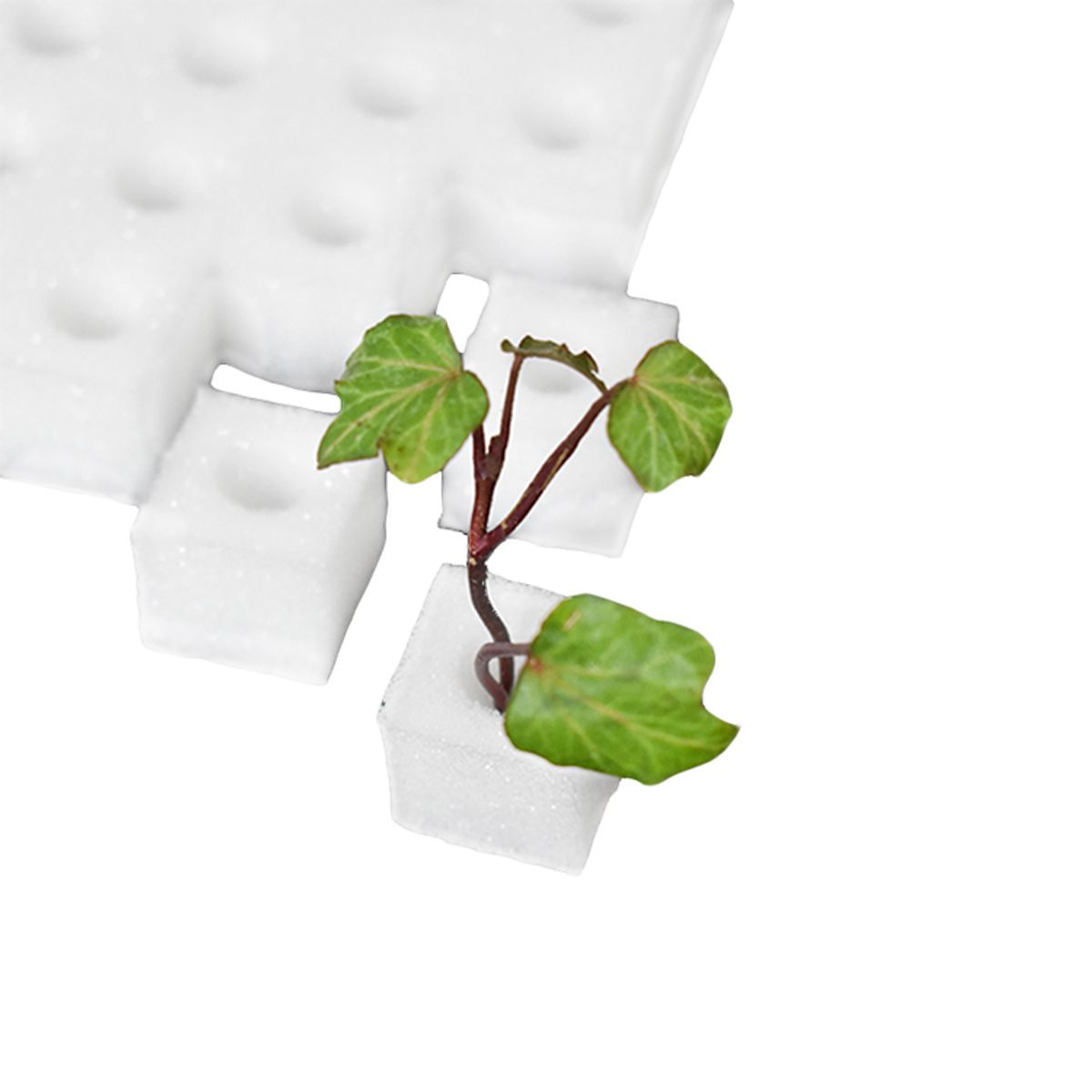 GENERICO - 5x100 Esponjas para Sistemas Hidroponía