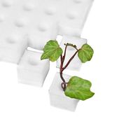 5x100 Esponjas para Sistemas Hidroponía