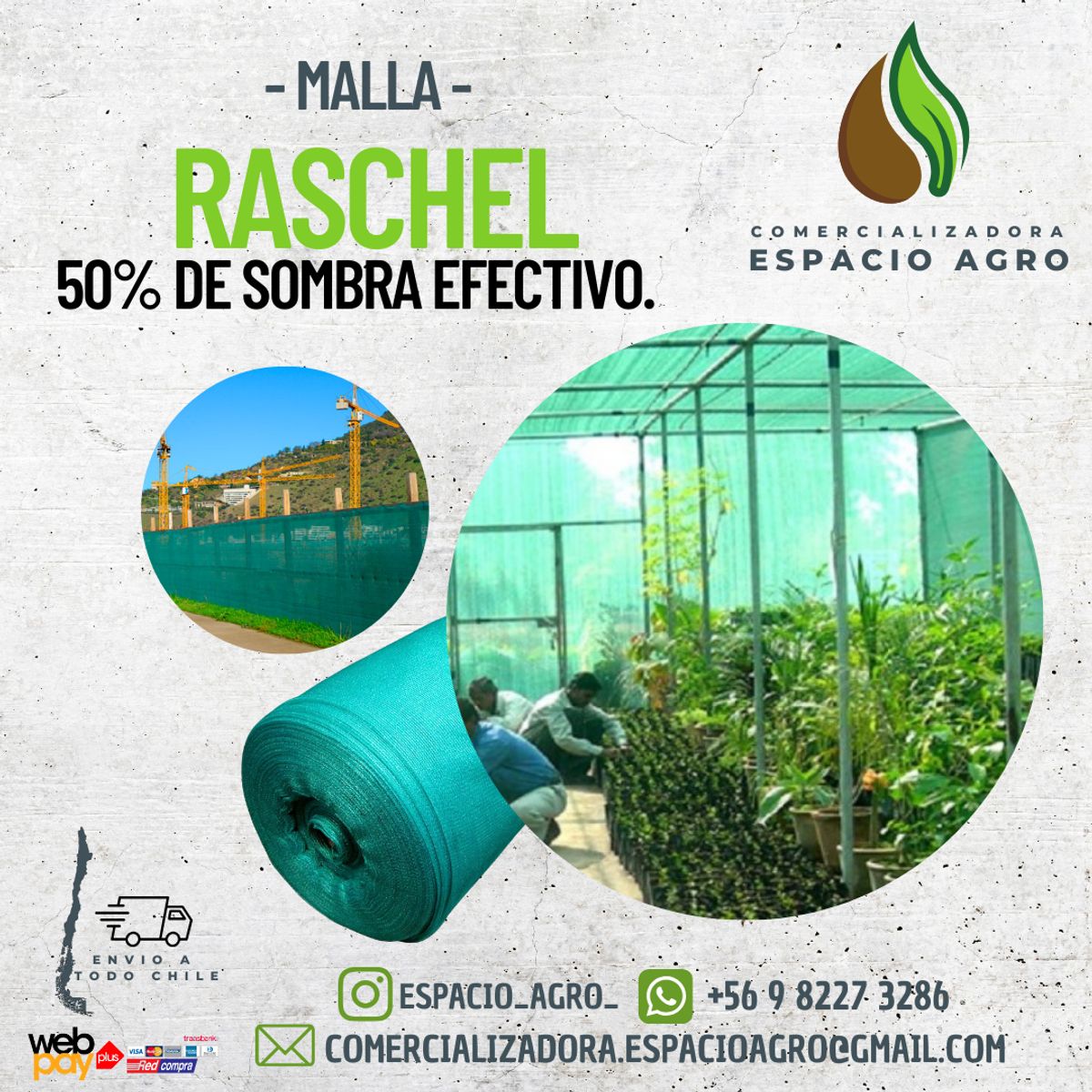 1880 - RASCHEL verde 50% 50 MTS X 4,20 MTS