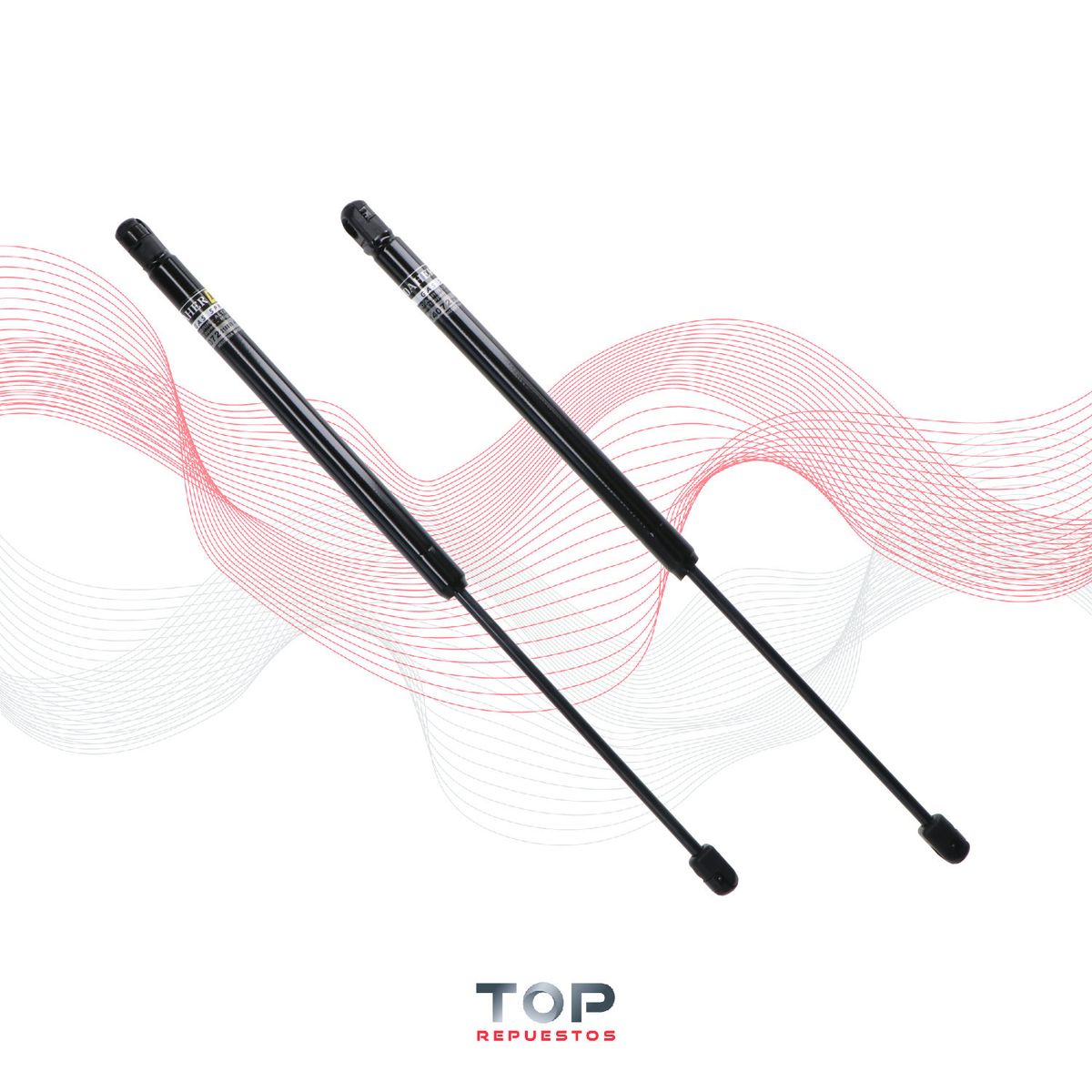 GENERICO - Par Amortiguadores Capot Dodge Ram 1500 4wd 04/07