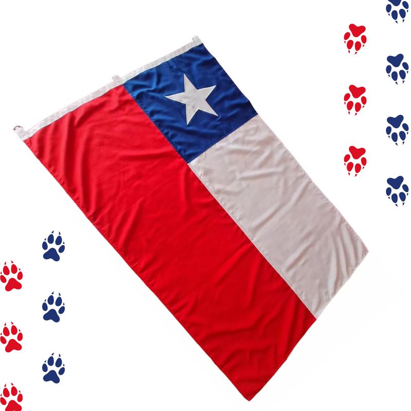 GENERICO - Bandera Chilena 290x450 Estrella Bordada  Bandera De Chile