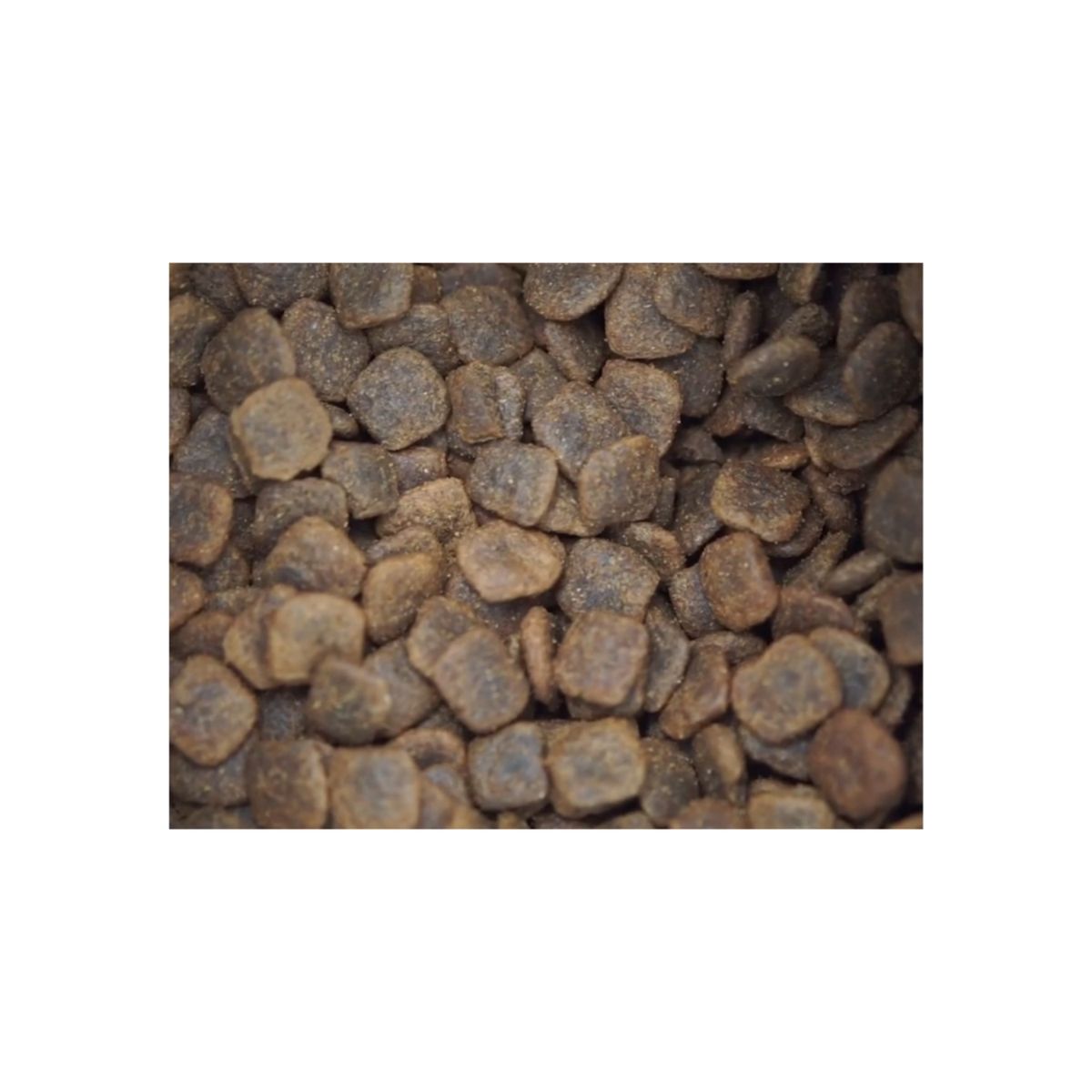 BRAVERY - Bravery Chicken Adult Cat 7 Kg