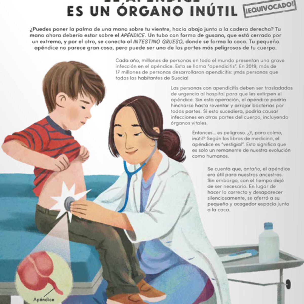 EDITORIAL CONTRAPUNTO - Todo lo que sabes sobre el cuerpo humano está equivocado