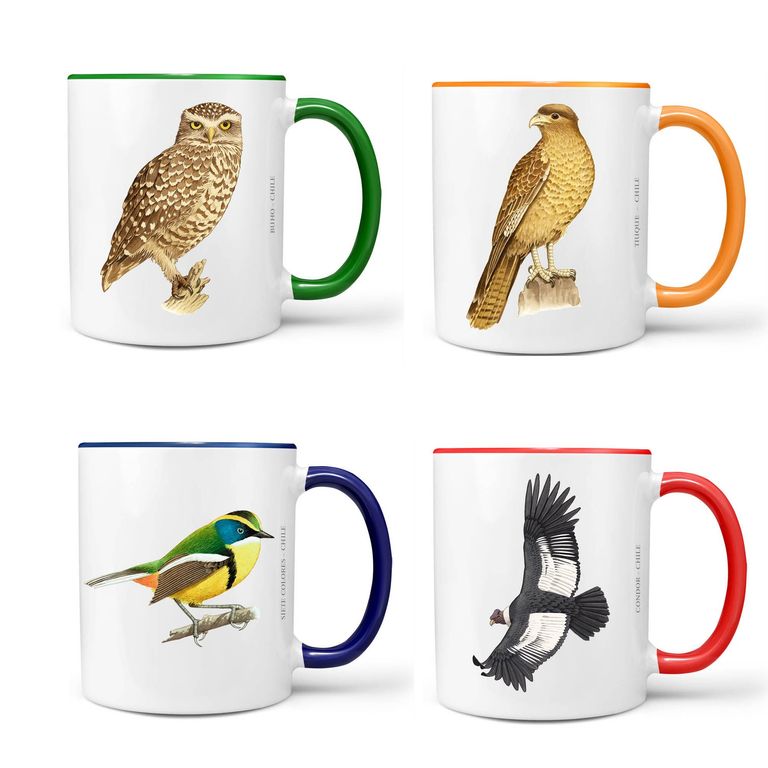 Set de 4 Tazones Pajaros de Chile N3